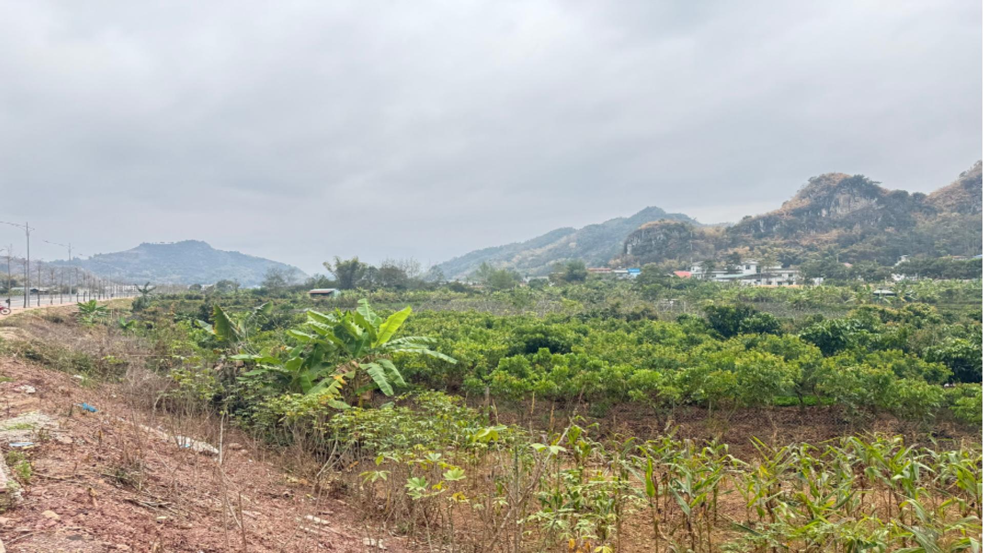 Toàn cảnh khu đất nông nghiệp — lòng dự án Eco Valley
